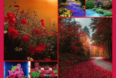 imagem jigsaw puzzle