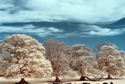 imagens