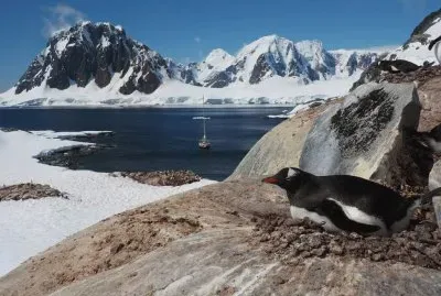 En la AntÃ¡rtida Argentina