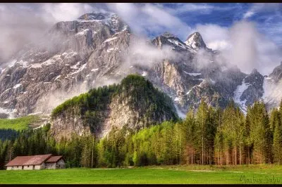 Marius Sabo Photography - 7307532-lg jigsaw puzzle