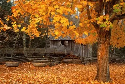 Travelling005tourism