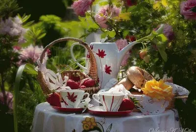 Morning Garden Tea