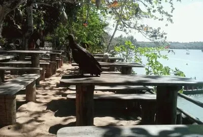 caraiva 1