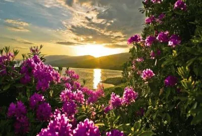 paisajes jigsaw puzzle