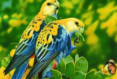 multicolor jigsaw puzzle