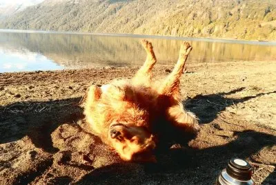 tomando sol