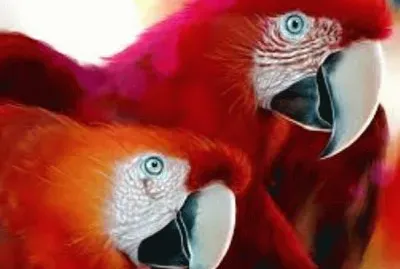 Animales en peligro de extinciÃ³n jigsaw puzzle