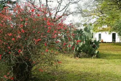 פאזל של En ChascomÃºs. Buenos Aires. Argentina