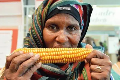 פאזל של rostro