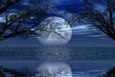 imagenes jigsaw puzzle