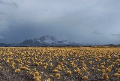 Vn Inca Huasi - Po San Francisco - Catamarca