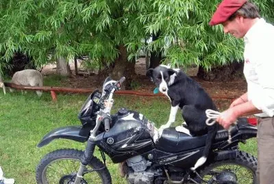 de paseo