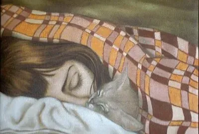 SOGNO