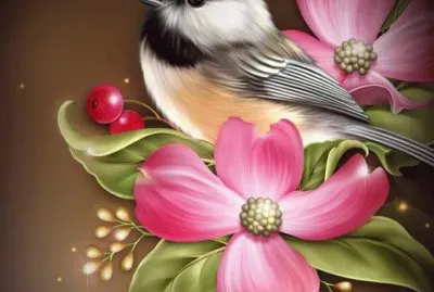Amazing Bird