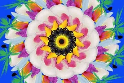 Flores Mandala