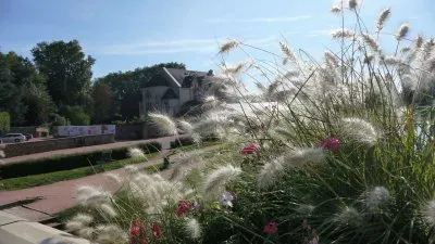 פאזל של paysage