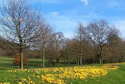 Bramcote Hills Park
