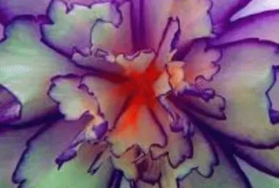 flores jigsaw puzzle