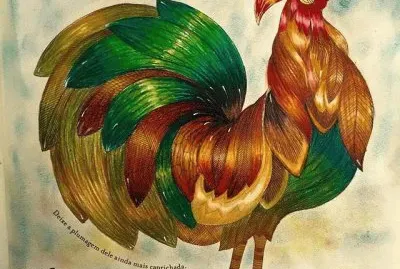 Rooster