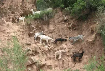 buen equilibrio jigsaw puzzle