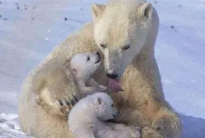 imagens