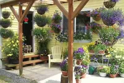 Sweet Purple and Yellow Floral Patio