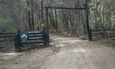 parque de nahuelbuta