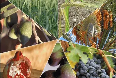 ×©×™×¢×•×¨ 2 jigsaw puzzle