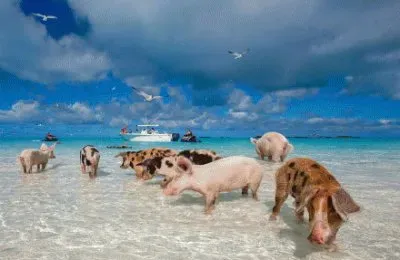 פאזל של ä¸–ç•Œé¢¨æ™¯