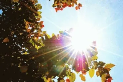 ä¸–ç•Œé¢¨æ™¯