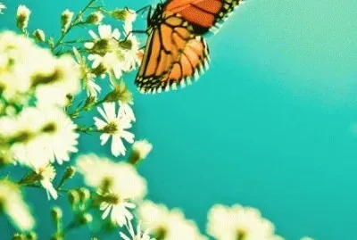 ä¸–ç•Œé¢¨æ™¯