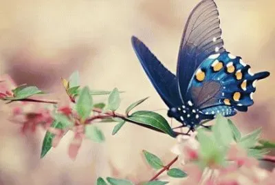 ä¸–ç•Œé¢¨æ™¯ jigsaw puzzle