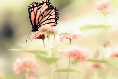 ä¸–ç•Œé¢¨æ™¯