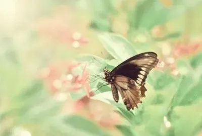 ä¸–ç•Œé¢¨æ™¯