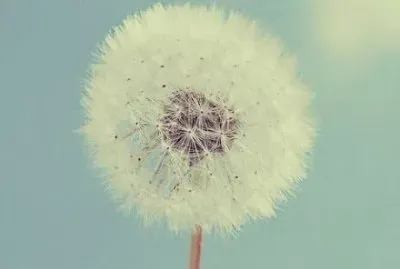 ä¸–ç•Œé¢¨æ™¯