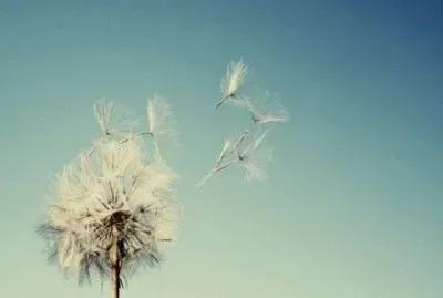 ä¸–ç•Œé¢¨æ™¯