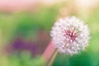 ä¸–ç•Œé¢¨æ™¯