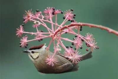 ä¸–ç•Œé¢¨æ™¯ jigsaw puzzle