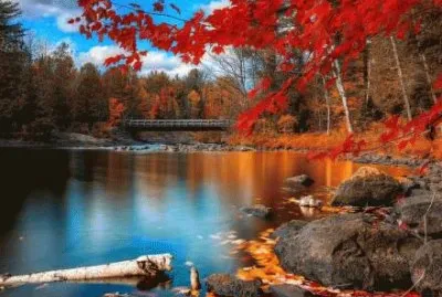 ä¸–ç•Œé¢¨æ™¯