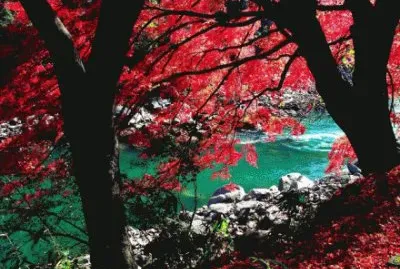 ä¸–ç•Œé¢¨æ™¯