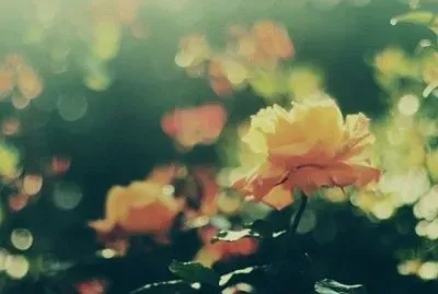 ä¸–ç•Œé¢¨æ™¯ jigsaw puzzle