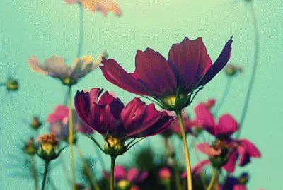 ä¸–ç•Œé¢¨æ™¯