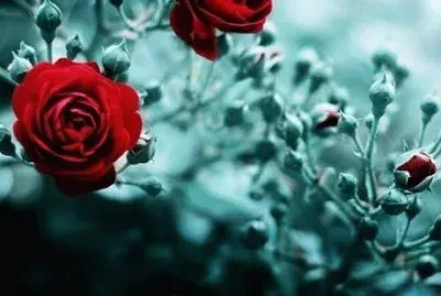 ä¸–ç•Œé¢¨æ™¯