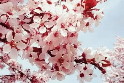 ä¸–ç•Œé¢¨æ™¯