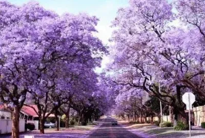 ä¸–ç•Œé¢¨æ™¯ jigsaw puzzle