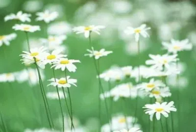 ä¸–ç•Œé¢¨æ™¯