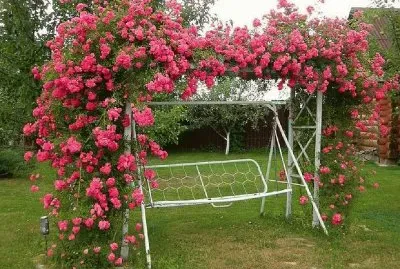 פאזל של imagens