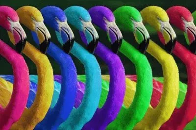 Rainbow Flamingos jigsaw puzzle