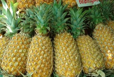 PiÃ±as
