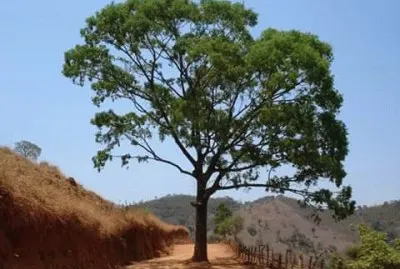 Moeda - Minas Gerais-Brazil